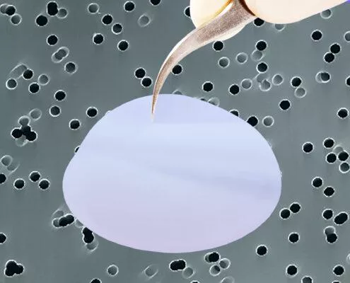 it4ip ipPORE™核孔膜（径迹蚀刻膜）