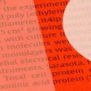 it4ip ipCELLCULTURE™细胞培养核孔膜